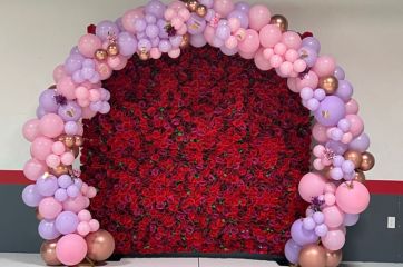 Balloon arch with backdrop